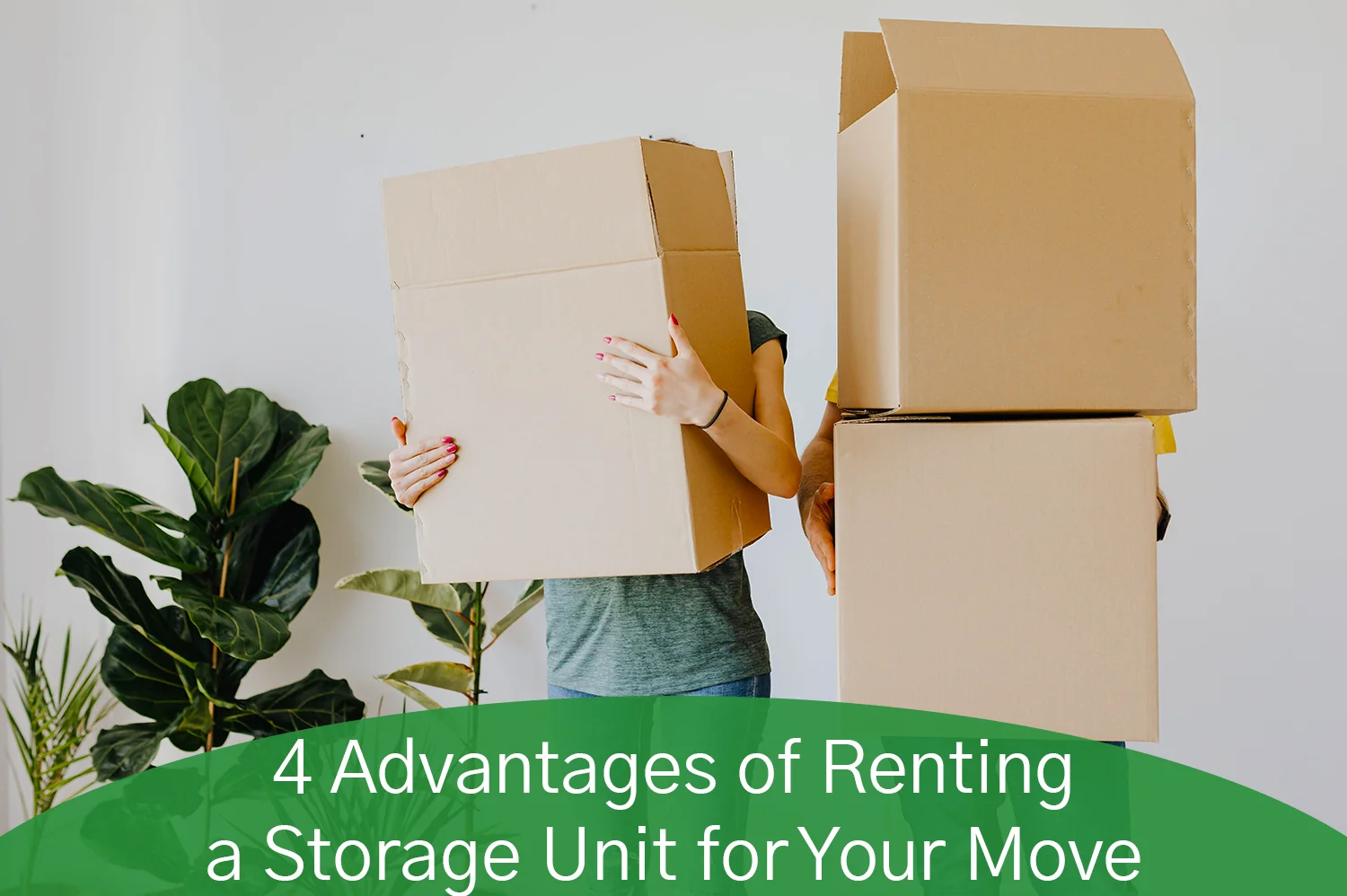 Two anonymous people hiding behind cardboard boxes next to a green plant, ready to start renting a storage unit.